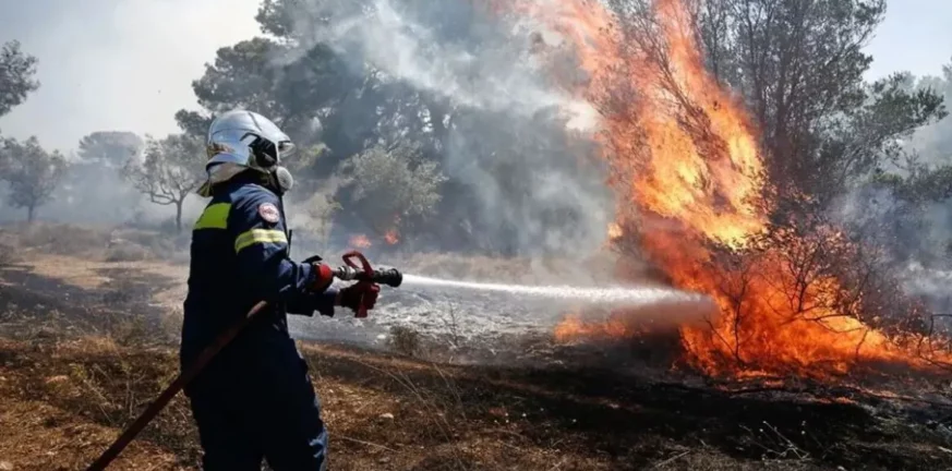 Φωτιές: Υπό μερικό έλεγχο το μέτωπο στο Λαύριο - 25 δασικές πυρκαγιές το τελευταίο 24ωρο 