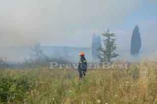 Σε κατάσταση έκτακτης ανάγκης ο Δήμος Ζηρού – Μαίνεται η φωτιά, έρευνα για εμπρησμό στην Πρέβεζα