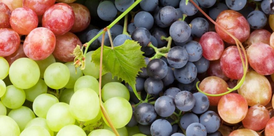 Σταφύλι: Το φρούτο με τις 12 θεραπευτικές ιδιότητες