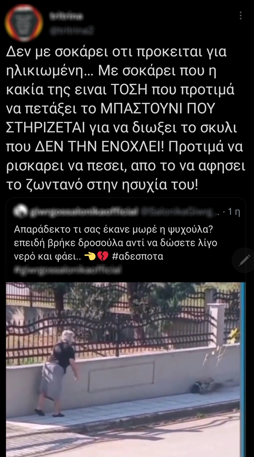 Θεσσαλονίκη: 75χρονη πέταξε μπαστούνι σε σκυλί - Σχηματίστηκε δικογραφία ΒΙΝΤΕΟ