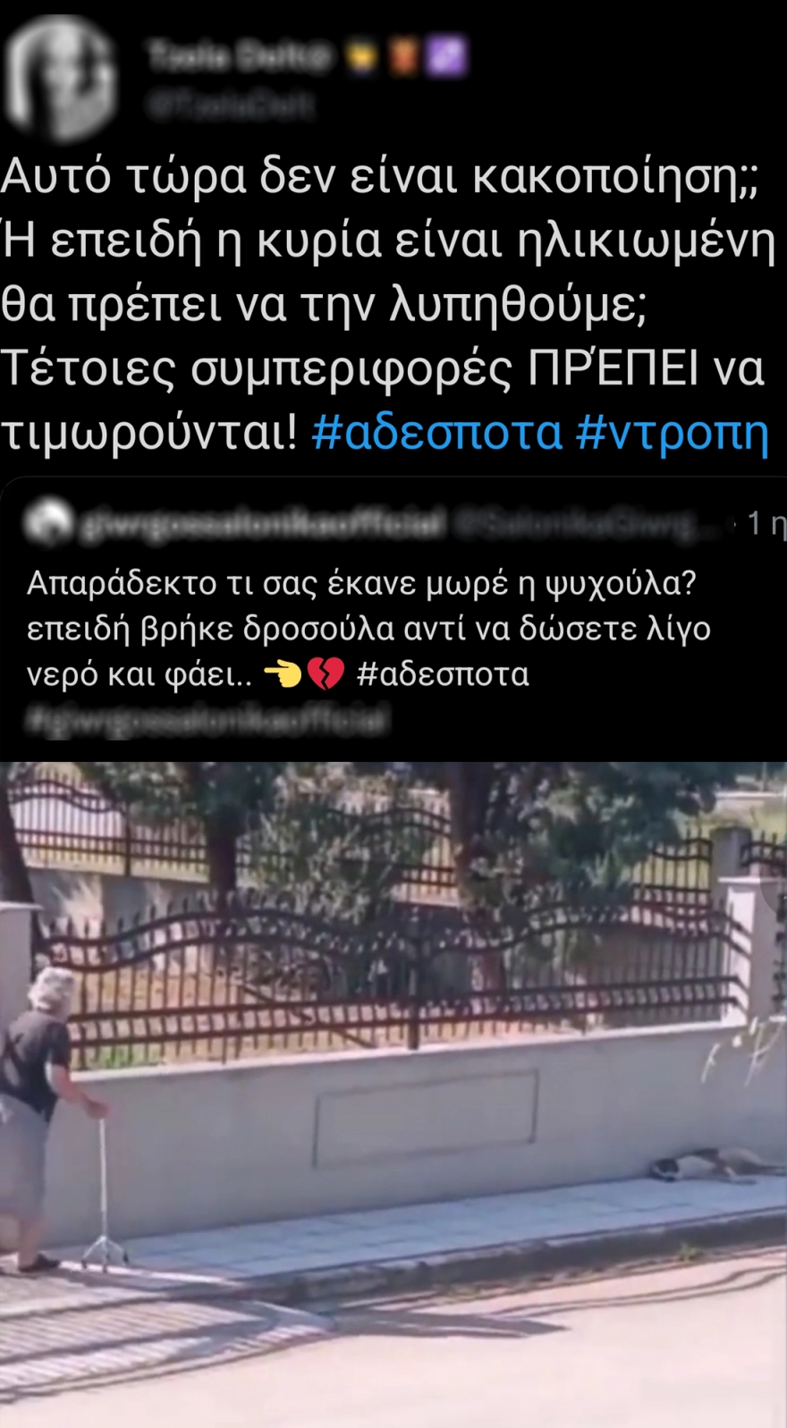 Θεσσαλονίκη: 75χρονη πέταξε μπαστούνι σε σκυλί - Σχηματίστηκε δικογραφία ΒΙΝΤΕΟ