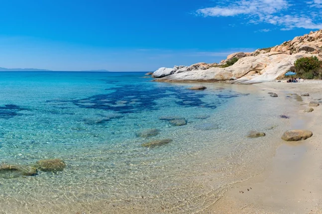 κίνημα της πετσέτας