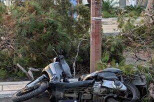 Κρήτη: «Θα κινηθούμε νομικά» λέει ο γιος του 51χρονου που καταπλακώθηκε από δέντρο