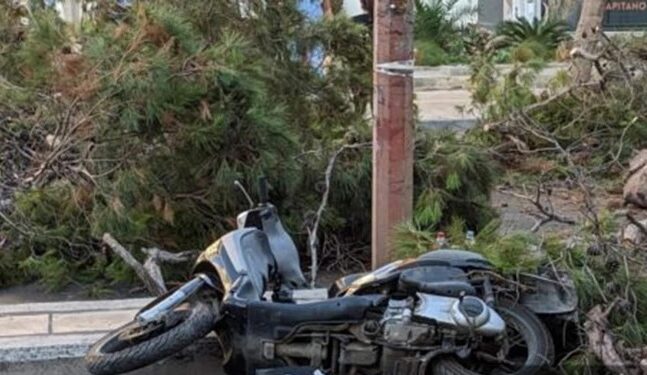 Κρήτη: «Θα κινηθούμε νομικά» λέει ο γιος του 51χρονου που καταπλακώθηκε από δέντρο