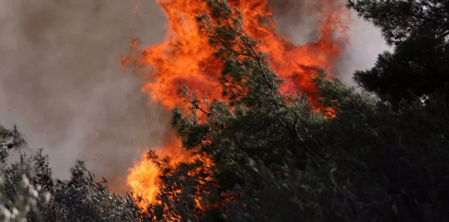 Φωτιές: Αναζωπυρώσεις σε Έβρο, Πάρνηθα και Βοιωτία - 122 πυρκαγιές σε όλη την επικράτεια το τελευταίο 24ωρο