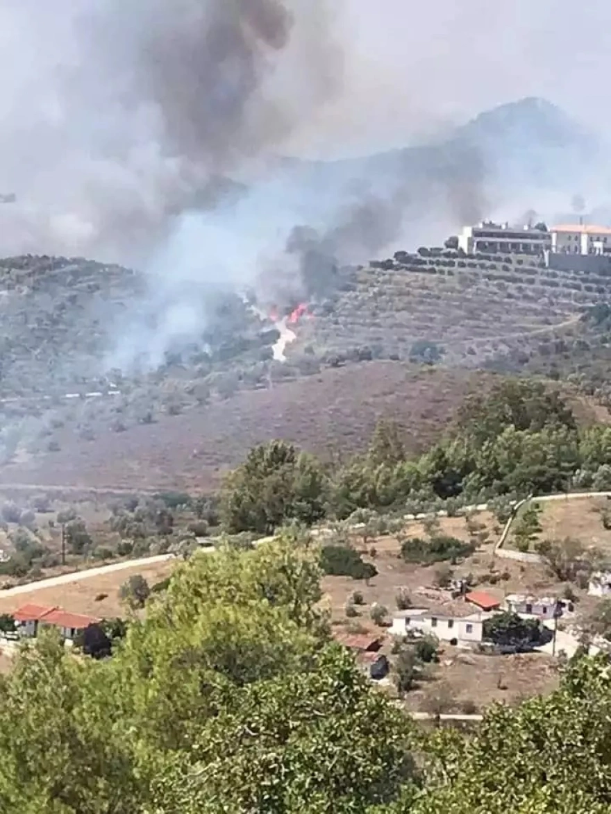 Φωτιά στην Αργολίδα: Οριοθετήθηκε το μέτωπο - Εκκενώθηκε ξενοδοχείο ΦΩΤΟ