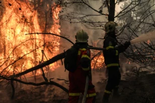 Πυροσβεστική: 35 δασικές πυρκαγιές αντιμετώπισε το τελευταίο 24ωρο