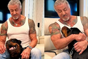 Σιλβέστερ Σταλόνε: Κάλυψε το τατουάζ με τη γυναίκα του με τον σκύλο από το «Rocky»