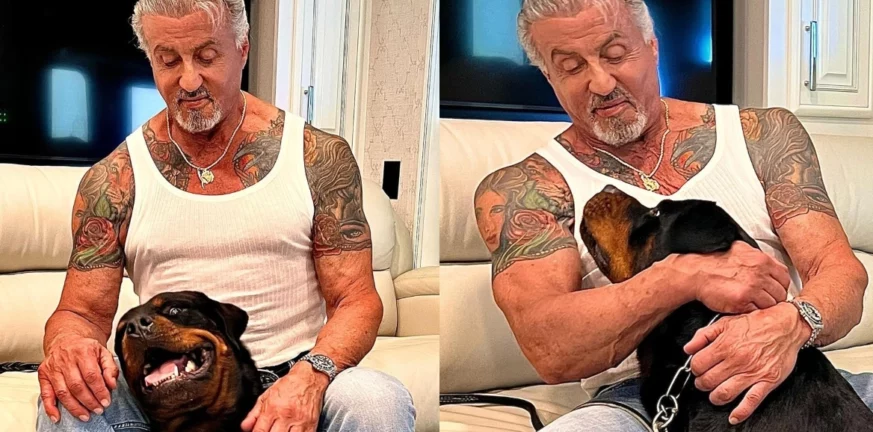 Σιλβέστερ Σταλόνε: Κάλυψε το τατουάζ με τη γυναίκα του με τον σκύλο από το «Rocky»