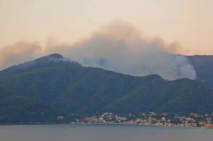Θάσος: Υπό πλήρη έλεγχο η φωτιά στο νησί