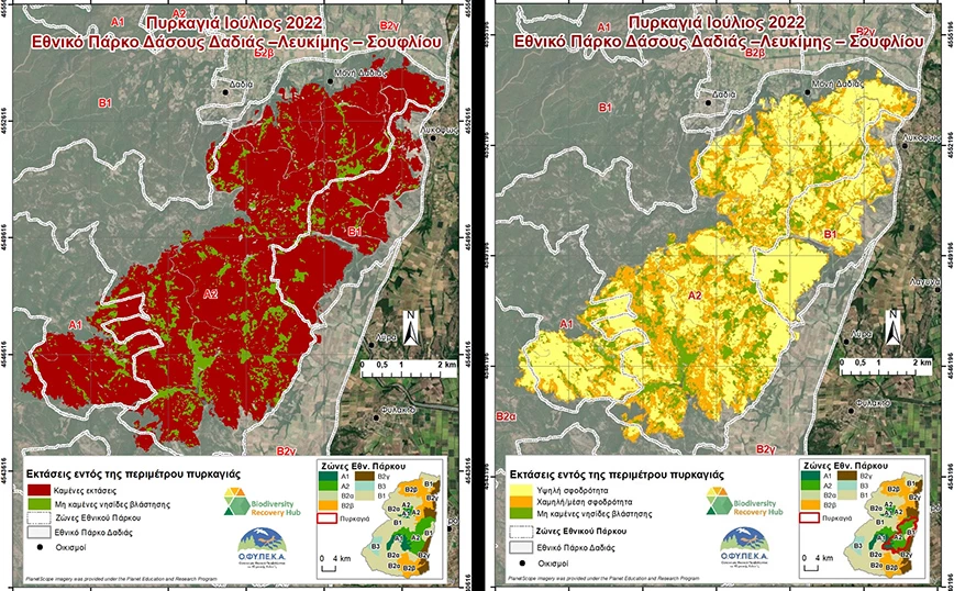 Δαδιά: Τι δείχνουν δορυφορικοί χάρτες για την περιβαλλοντική ζημιά που προκλήθηκε από τη φωτιά - ΦΩΤΟ
