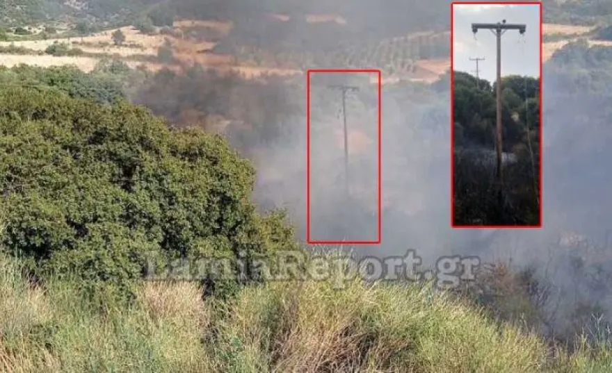 Φθιώτιδα: Τι προκάλεσε τη μεγάλη πυρκαγιά στο Λογγίτσι - Πώς συνδέονται τα... αγριογούρουνα ΦΩΤΟ