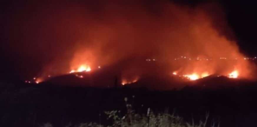 Ληξούρι: Νέα φωτιά στην περιοχή των Πετανών Κεφαλονιάς - ΒΙΝΤΕΟ