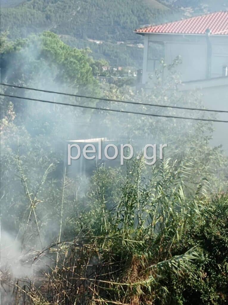 Πάτρα: Φωτιά κοντά στο Παμπελοποννησιακό στάδιο - ΦΩΤΟ