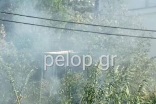 Πάτρα: Φωτιά κοντά στο Παμπελοποννησιακό στάδιο - ΦΩΤΟ