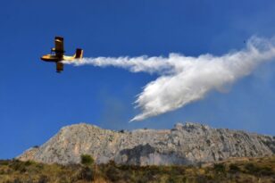 Μεσσηνία: Πυρκαγιά σε δασική έκταση στο Αλιμάκι Τριφυλίας