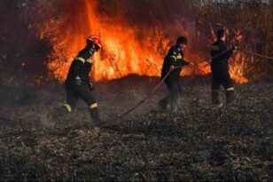 Ηλεία: Φωτιά στη Νέα Μανωλάδα - Καίει σε βαλτώδη περιοχή