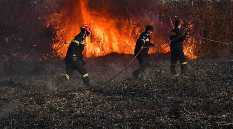 Ηλεία: Φωτιά στη Νέα Μανωλάδα - Καίει σε βαλτώδη περιοχή