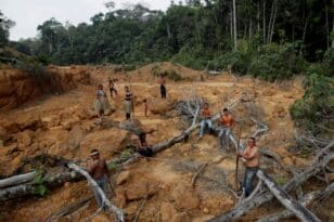 Αμαζόνιος: Το 26% του οικοσυστήματος έχει καταστραφεί ανεπανόρθωτα