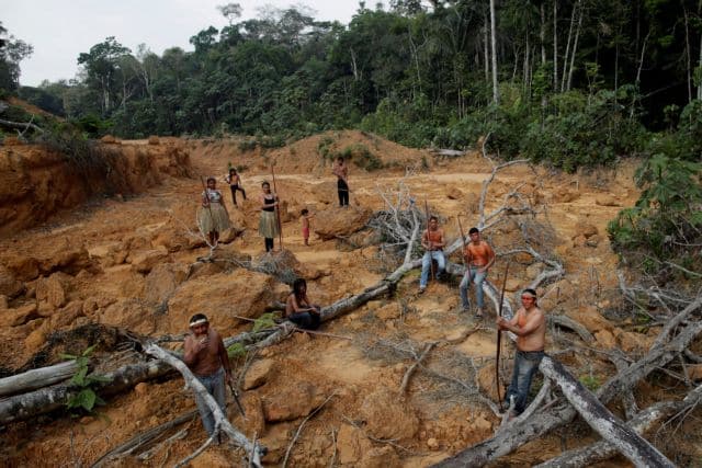 Αμαζόνιος: Το 26% του οικοσυστήματος έχει καταστραφεί ανεπανόρθωτα
