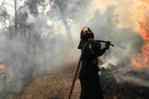 Κρήτη: Φωτιά σε αγροτοδασική έκταση στα Χανιά 