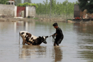 Πακιστάν: Οι πλημμύρες αυξάνουν τον αριθμό των νεκρών - Θυμίζουν θάλασσα τμήματα της χώρας