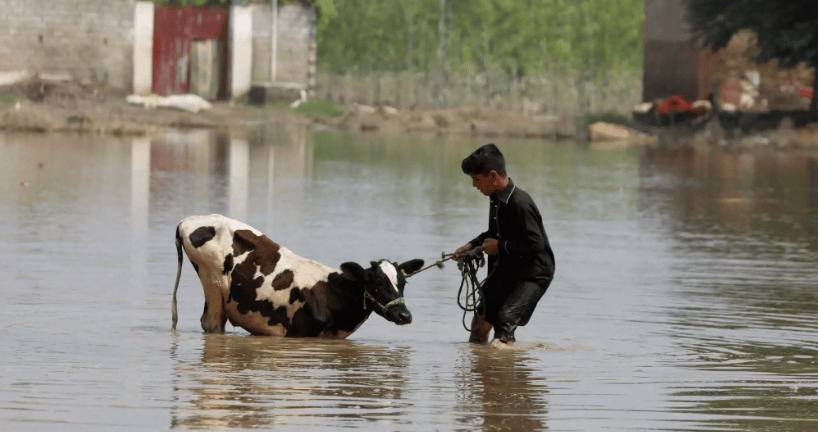Πακιστάν: Οι πλημμύρες αυξάνουν τον αριθμό των νεκρών - Θυμίζουν θάλασσα τμήματα της χώρας