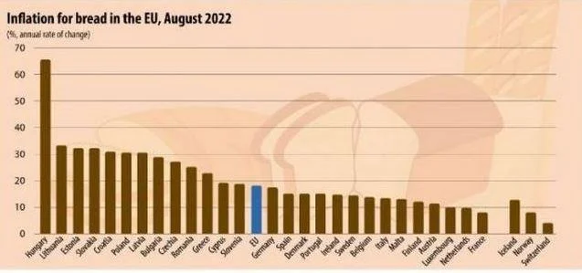 Eurostat: Ακρίβεια στις τιμές του ψωμιού - Πόσο έχουν φτάσει στην Ελλάδα