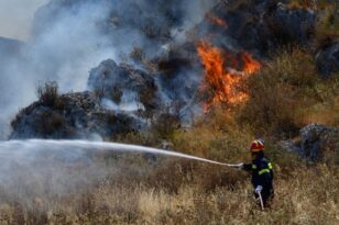 Μεσσηνία: Φωτιά σε αγροτοδασική έκταση