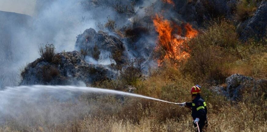 Μεσσηνία: Φωτιά σε αγροτοδασική έκταση