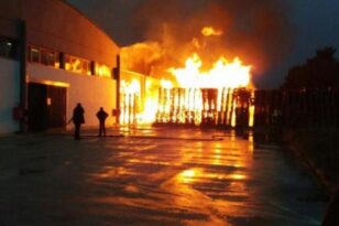 Ψαχνά Ευβοίας: Συναγερμός στην Πυροσβεστική για φωτιά σε εργοστάσιο ΒΙΝΤΕΟ