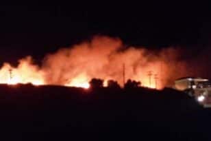 Κεφαλονιά: Υπό έλεγχο η φωτιά στην Σκάλα - Απειλήθηκαν βίλες και ξενοδοχείο