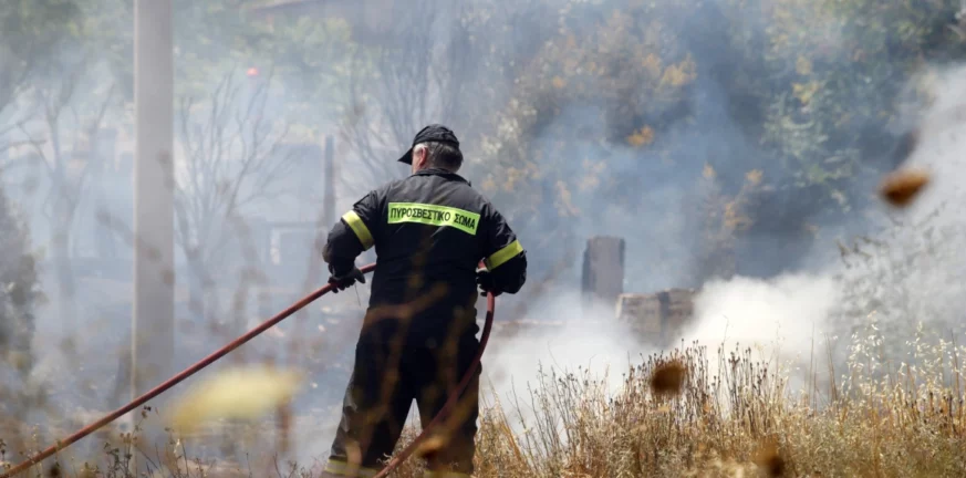 Θεσπρωτία: Οριοθετήθηκε η φωτιά σε χορτολιβαδική έκταση
