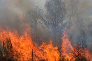 Σε εξέλιξη πυρκαγιά σε δασική έκταση στην Αγία Γουργή Κέρκυρας