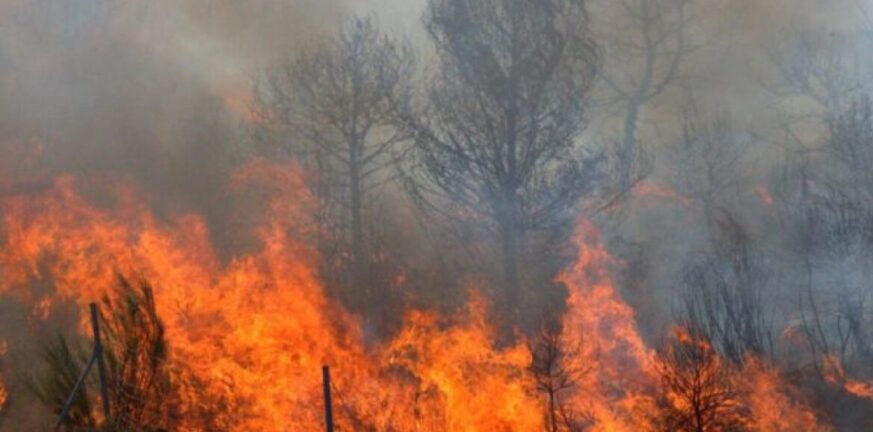 Σε εξέλιξη πυρκαγιά σε δασική έκταση στην Αγία Γουργή Κέρκυρας