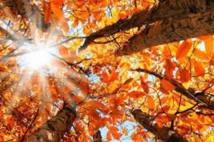Φθινοπωρινή ισημερία: Ξεκινάει και επίσημα το φθινόπωρο