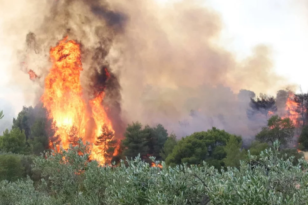 Ηλεία: Οριοθετημένη η φωτιά στο Μουζάκι Πύργου - ΝΕΟΤΕΡΑ