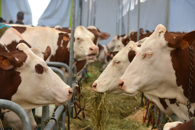 Γεωργία – Κτηνοτροφία: Οι τιμές των προϊόντων είναι 19,1% ακριβότερες τον Φεβρουάριο