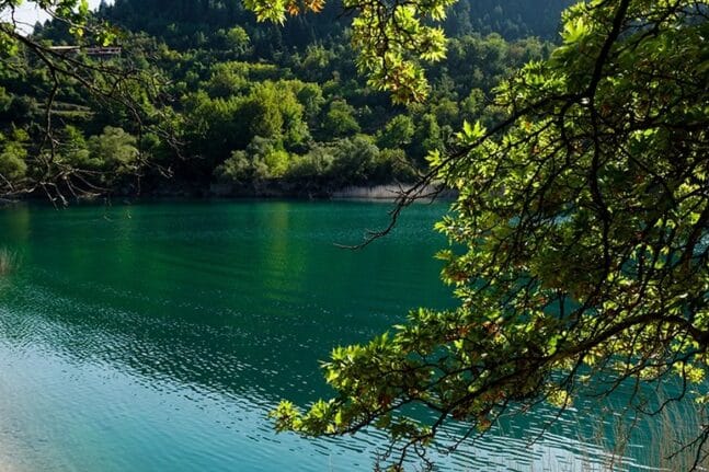 Λίμνη Τσιβλού: Το φυσικό τοπίο στην Αχαΐα με τα υπέροχα χρώματα – ΦΩΤΟ