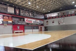 ΠΓΕ: Ποιοτική αναβάθμιση υπηρεσιών Ακαδημιών μπάσκετ και βόλεϊ