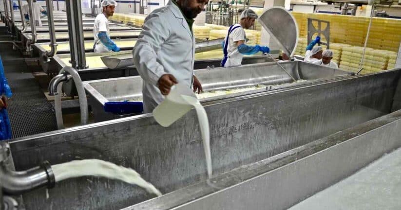 Αχαΐα: Είδος πολυτελείας τα τυροκομικά και το γάλα
