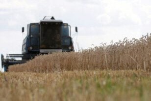 Ρωσία: Δηλώνει έτοιμη να εξάγει 30 εκατ. τόνους σιτηρών έως το τέλος του έτους