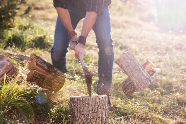 Σέρρες: 60χρονος πέθανε ενώ έκοβε ξύλα - Τον καταπλάκωσε το δέντρο