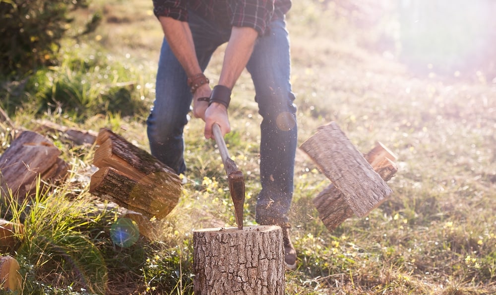 Σέρρες: 60χρονος πέθανε ενώ έκοβε ξύλα – Τον καταπλάκωσε το δέντρο