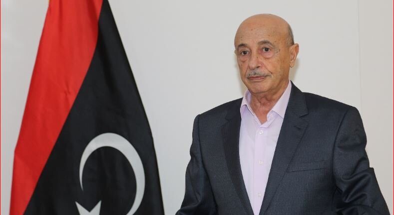  Λιβύη: Ο πρόεδρος της Βουλής καταγγέλλει το νέο τουρκολιβυκό μνημόνιο στον Αραβικό Σύνδεσμο