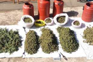 Αιτωλοακαρνανία: Συνελήφθησαν δυο διακινητές ναρκωτικών - Κατασχέθηκαν περισσότερα από 17,5 κιλά κάνναβης ΦΩΤΟ