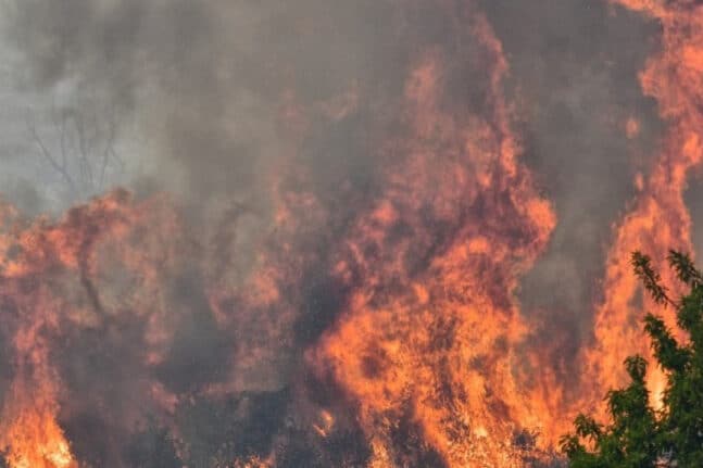 Λεχαινά: Φωτιά σε αγροταδασική έκταση και στην Αγ. Μαύρα