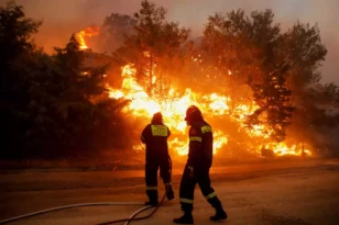Ρέθυμνο: Υπό έλεγχο η φωτιά - Τυλίχθηκαν στις φλόγες  25 στρέμματα