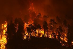 Μυτιλήνη: Ξέσπασε φωτιά στην περιοχή Καριώνα