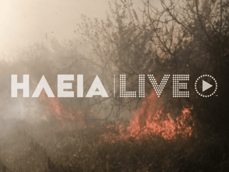 Λεχαινά: Φωτιά σε αγροτοδασική έκταση και στην Αγ. Μαύρα